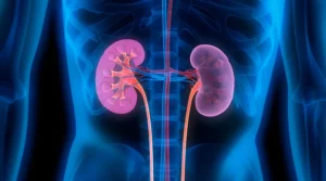 Roche’s Sefaxersen Marks Potential Shift in IgA Nephropathy Treatment Landscape