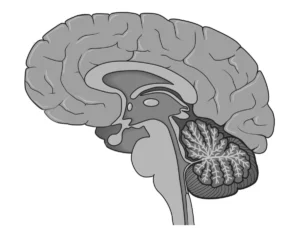Sleep as a Diagnostic Mirror: How Nocturnal Micro-Awakenings May Signal Early Alzheimer’s Risk
