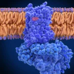 Superluminal Medicines Secures $60M to Challenge Obesity Treatment Landscape with AI-Driven GPCR Platform