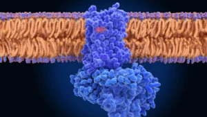 Superluminal Medicines Secures $60M to Challenge Obesity Treatment Landscape with AI-Driven GPCR Platform
