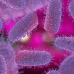 Surge in Rabies Exposures Prompts Urgent CDC Advisory and Clinical Guidance