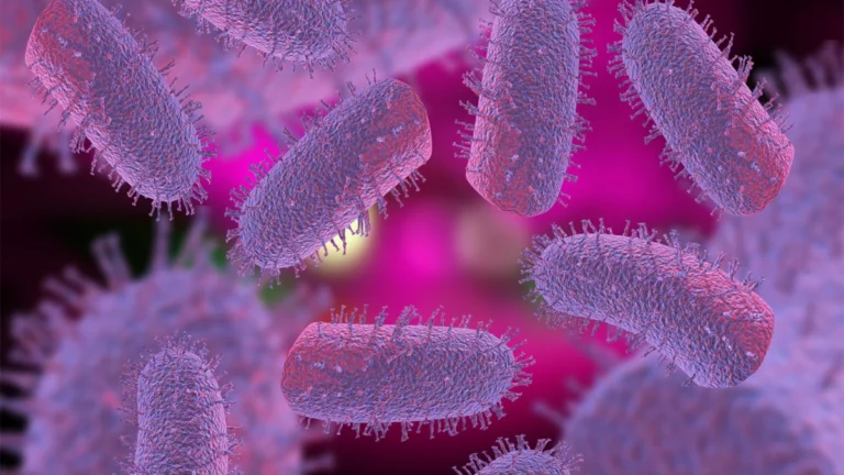 Surge in Rabies Exposures Prompts Urgent CDC Advisory and Clinical Guidance