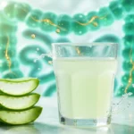 The Aloe Vera Paradox: Examining the Evidence Behind Gut Health Claims
