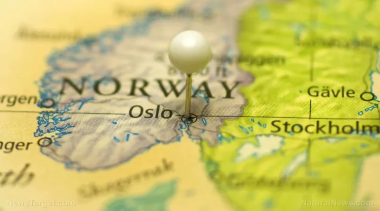 The Arctic Seizure: Geopolitical Tensions Escalate as Norway Detains Russian Research Vessel