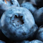 The Berry Breakthrough: How Pterostilbene Could Revolutionize Metabolic Health