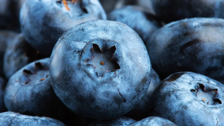 The Berry Breakthrough: How Pterostilbene Could Revolutionize Muscle Metabolic Health