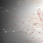 The Biological Fountain of Youth: Stanford Researchers Uncover the Immune System’s "Garbage Collection" Failure