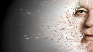 The Biological Fountain of Youth: Stanford Researchers Uncover the Immune System’s "Garbage Collection" Failure