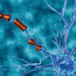 The Efficacy Gap: Why High-Intensity MS Treatments Fail to Halt Long-Term Disability