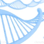The Fragile Blueprint: Examining the Systematic Degradation of DNA Repair Mechanisms