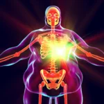 The Ghost of Weight Past: How Obesity Leaves a Lasting Molecular "Memory" in the Immune System