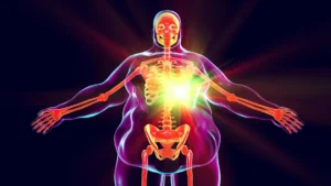 The Ghost of Weight Past: How Obesity Leaves a Lasting Molecular "Memory" in the Immune System
