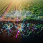 The Hidden Cocktail: How Pesticide Mixtures are Reshaping Europe’s Soil Microbiomes