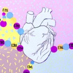 The Hidden Cost of Shelf Life: New Study Links Common Food Preservatives to Cardiovascular Risk