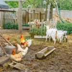 The Hidden Financial Leaks of Homesteading: Lessons from Joel Salatin’s Latest Masterclass