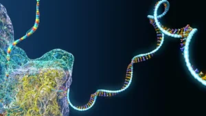The High-Stakes Balancing Act: Roche’s Tri-Specific Pivot and the Paradox of the Trump Administration’s Drug Pricing Strategy