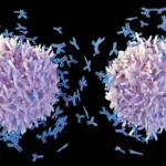 The High-Stakes Pivot: Autoimmune Cell Therapy Faces a Critical Reality Check