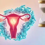 The Invisible Gateway: How the Uterine Microbiome Influences Fertility and Aging