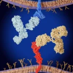 The Rheumatologic Toll of Cancer Immunotherapy: A New Perspective on Immune-Related Adverse Events