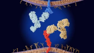 The Rheumatologic Toll of Cancer Immunotherapy: A New Perspective on Immune-Related Adverse Events