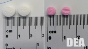 The Shadow Market: The Rapid Rise of Cychlorphine and the Crisis of Synthetic Opioids