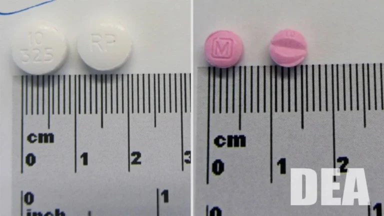 The Shadow Market: The Rapid Rise of Cychlorphine and the Crisis of Synthetic Opioids