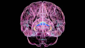 The Silent Epidemic: New Study Reveals High Mortality and Diagnostic Gaps in Korsakoff Syndrome