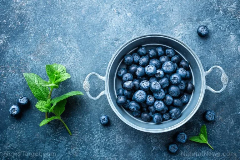 The Silent Sentinel: How Blueberries Are Quietly Revolutionizing Cardiovascular Health