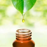 The Timeless Essence: Unearthing the Therapeutic Power of Cedarwood Oil