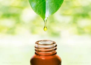 The Timeless Essence: Unearthing the Therapeutic Power of Cedarwood Oil
