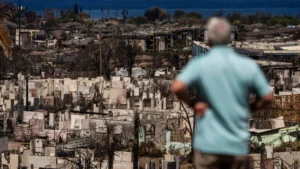 The Toxic Aftermath: New Study Reveals Lasting Lung Damage from Maui Wildfire Debris