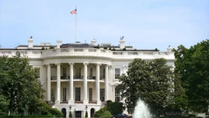 The Transatlantic Shield: U.K. and U.S. Forge Landmark AI Defense Partnership