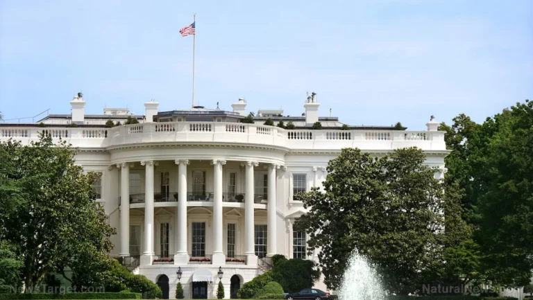 The Transatlantic Shield: U.K. and U.S. Forge Landmark AI Defense Partnership