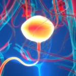 Tyra Biosciences’ Phase 2 Data for Dabogratinib: A Mixed Bag for Bladder Cancer Treatment