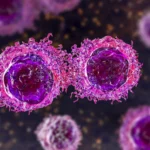 Unmasking the Enemy: How Hyperglycemia Fuels Cancer’s Invisible Shield