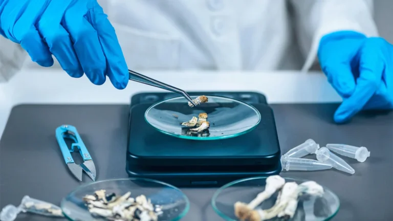 Beyond Mental Health: Psilocybin Shows Promise in Mitigating Biological Markers of Parkinson’s Disease