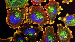 Beyond the Data: A Patient’s Journey Through the Frontier of mRNA Cancer Vaccines