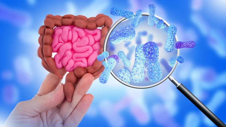 Beyond the Label: New Research Reveals How Sweeteners and Medications Reshape the Gut Microbiome