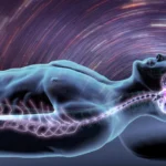 Beyond the Plaque: New Research Reveals How the Brain’s Immune System Sabotages Sleep in Alzheimer’s