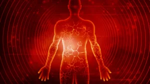 Beyond the Scale: Unlocking the Molecular Secrets of Prolonged Fasting