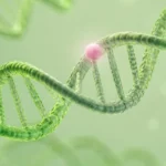 Decoding the Biological Blueprint: The Role of Genetics and Epigenetics in Bipolar Disorder