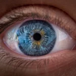 Rewiring the Eye: How a Vitamin A Derivative Rewrites the Blueprint of Human Vision