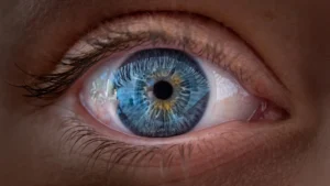 Rewiring the Eye: How a Vitamin A Derivative Rewrites the Blueprint of Human Vision