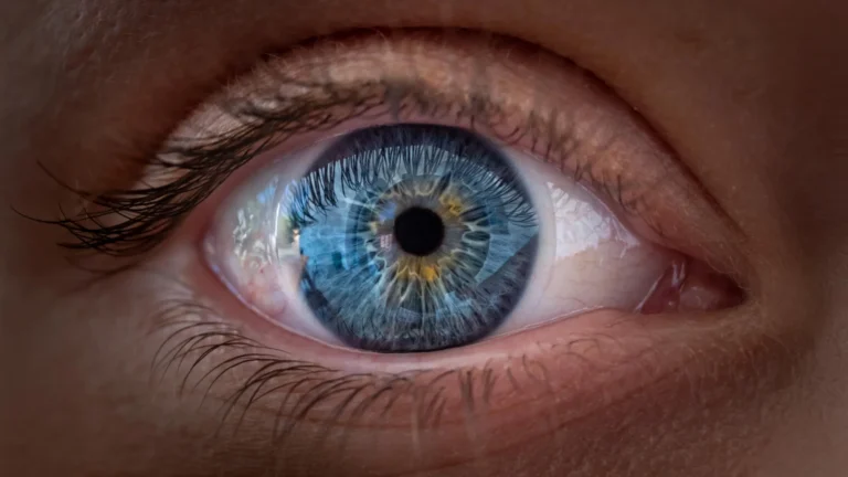 Rewiring the Eye: How a Vitamin A Derivative Rewrites the Blueprint of Human Vision