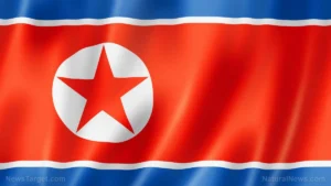Shadow War in the DMZ: Landmine Blasts Ignite New Crisis on the Korean Peninsula