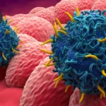 Targeted Innovation in Biliary Tract Cancer: The COMPANION-002 Trial Results