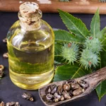 The Ancient Secret Rediscovered: Understanding the Ayurvedic Renaissance of Castor Oil