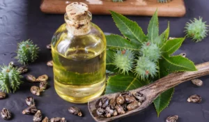 The Ancient Secret Rediscovered: Understanding the Ayurvedic Renaissance of Castor Oil