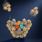 The Architecture of Infection: Oxford Researchers Unveil the Secret Rules of Viral Self-Assembly