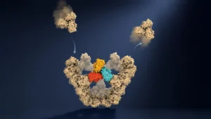 The Architecture of Infection: Oxford Researchers Unveil the Secret Rules of Viral Self-Assembly